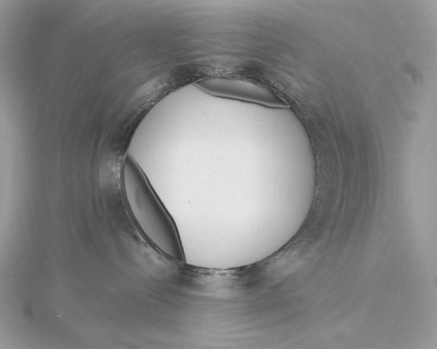 X0000115840288200912041714