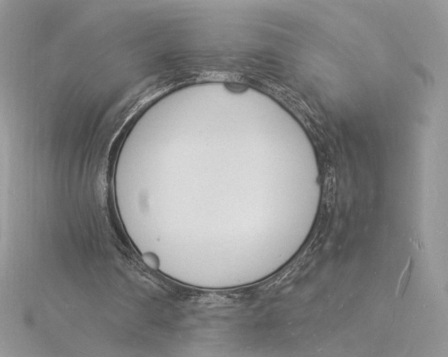 X0000115840290200912041714