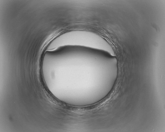 X0000115840293200912041714