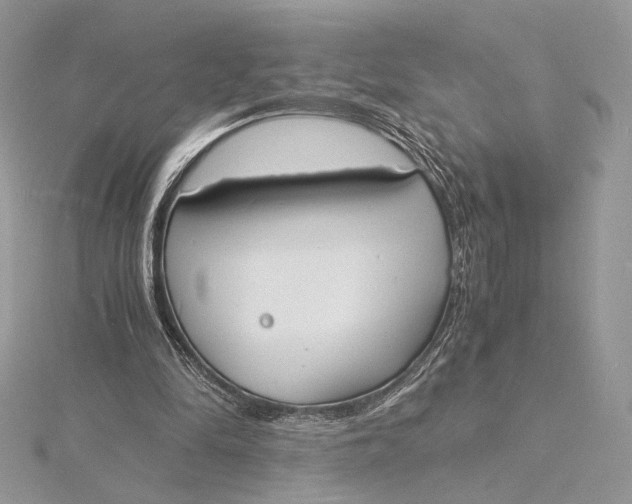 X0000115840294200912041714