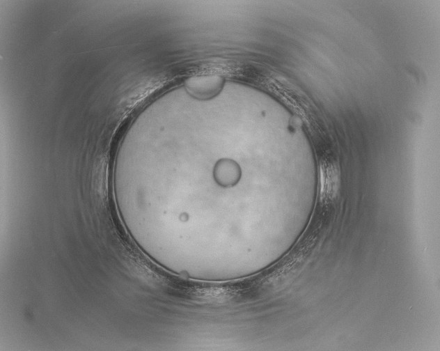 X0000115840301200912041714