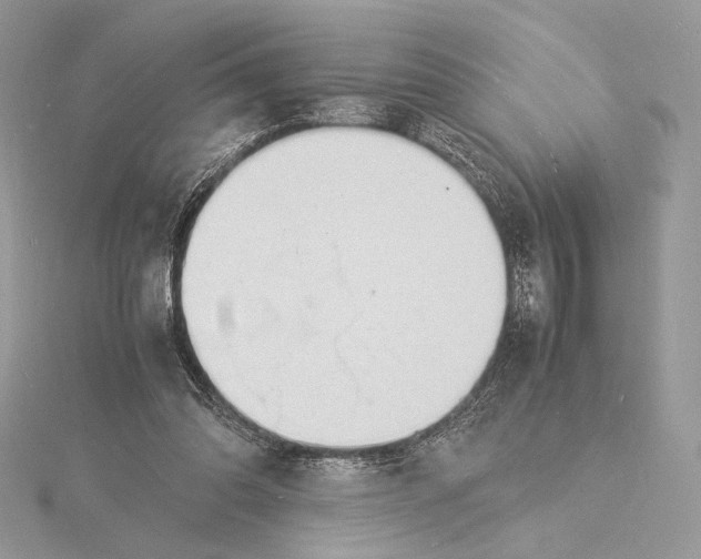 X0000115840302200912041714