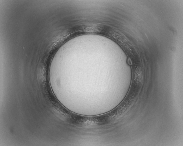 X0000115840303200912041713