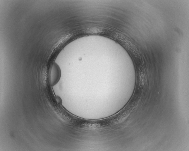 X0000115840304200912041713