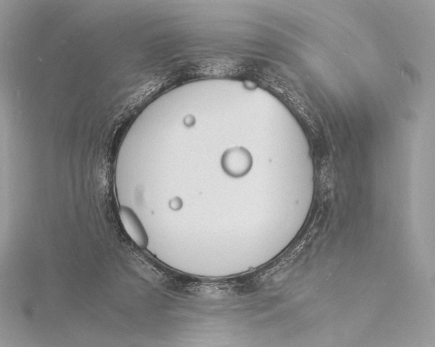 X0000115840305200912041713