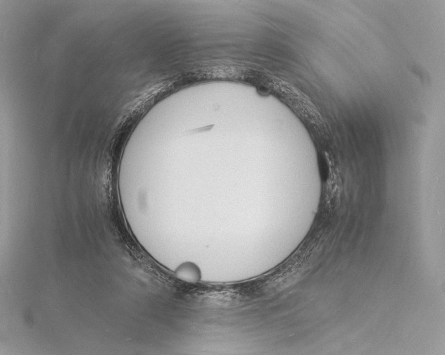 X0000115840306200912041713