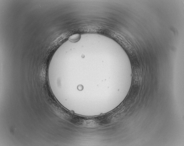 X0000115840309200912041713