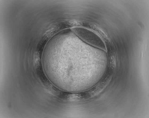 X0000115840320200912041713