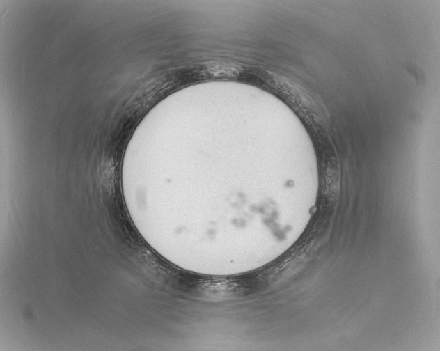 X0000115840321200912041713