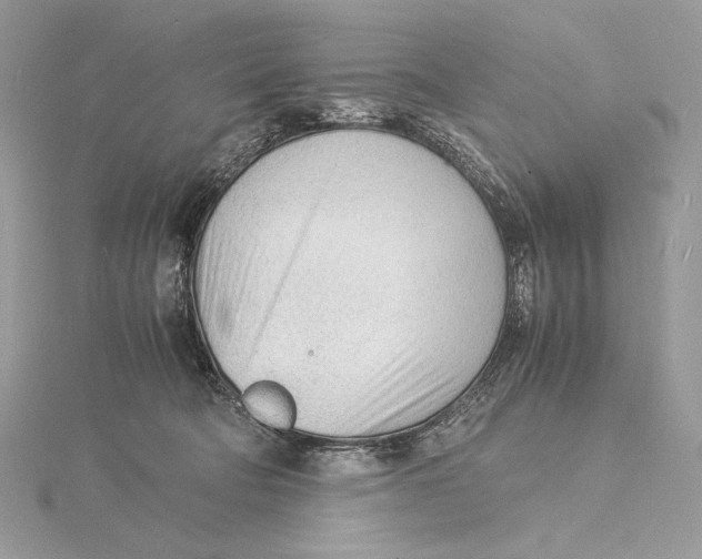 X0000115840322200912041713