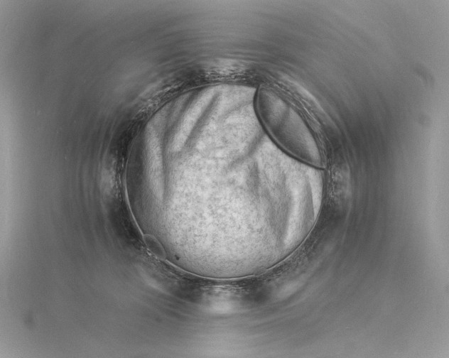 X0000115840324200912041713