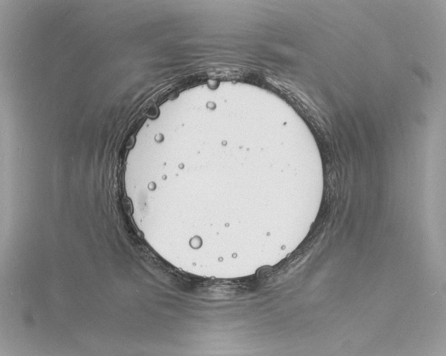 X0000115840325200912041713