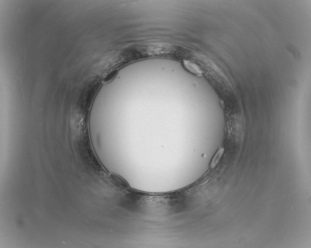 X0000115840327200912041713