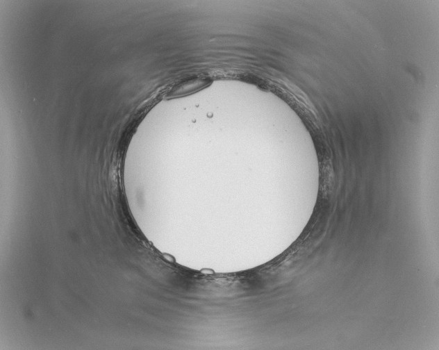 X0000115840329200912041713