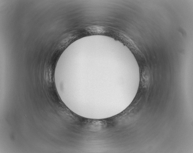 X0000115840330200912041713