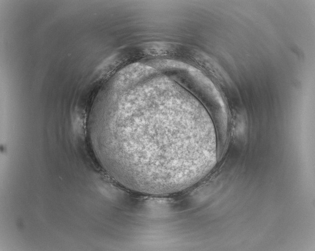 X0000115840332200912041713