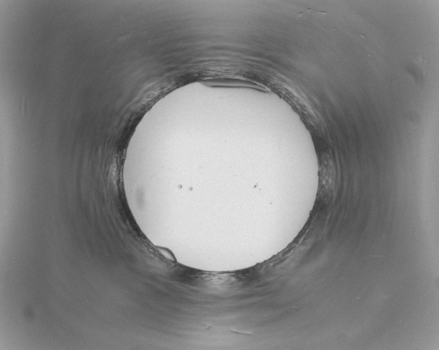 X0000115840333200912041713