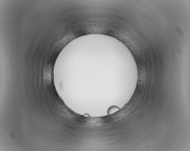 X0000115840334200912041713