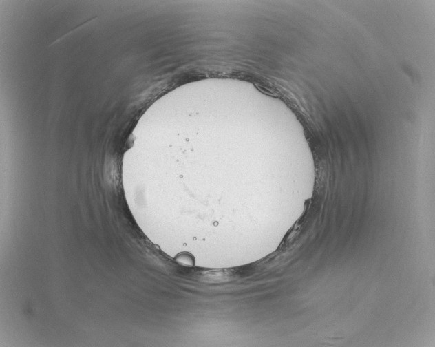 X0000115840335200912041713