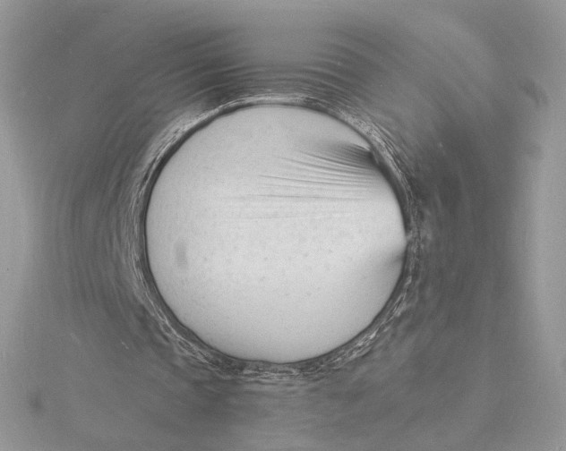 X0000115840337200912041712