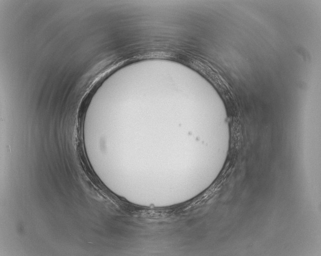 X0000115840338200912041712