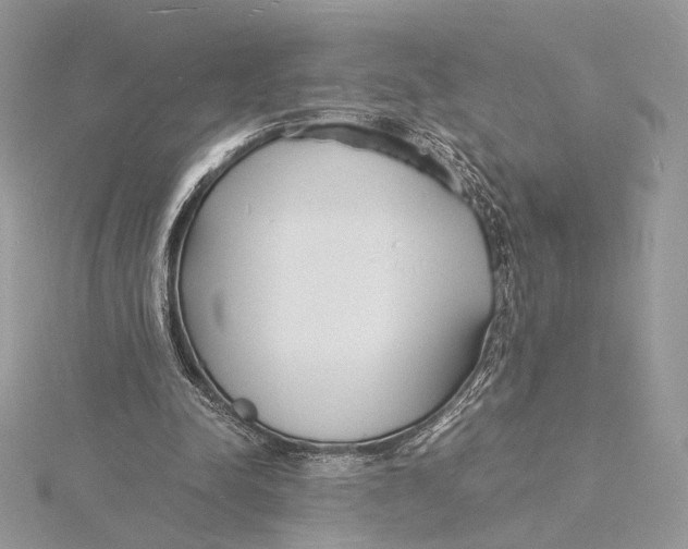 X0000115840342200912041713