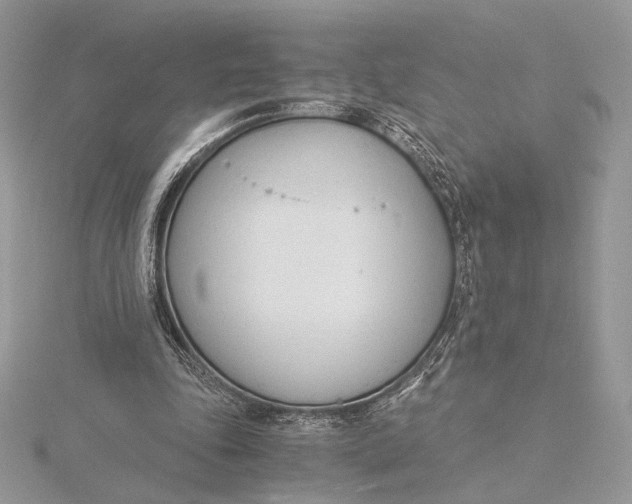 X0000115840343200912041713