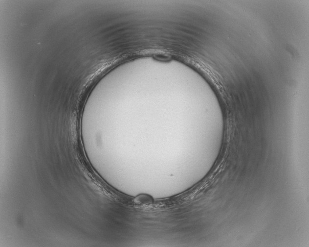 X0000115840345200912041713