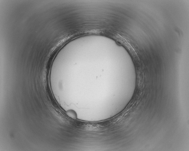 X0000115840346200912041713