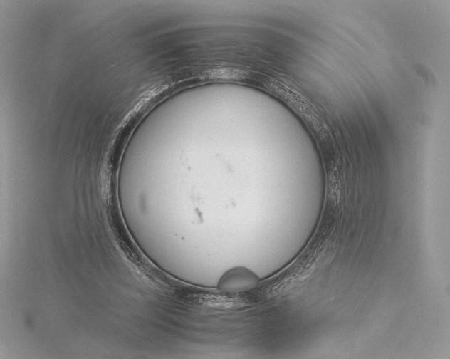 X0000115840347200912041713