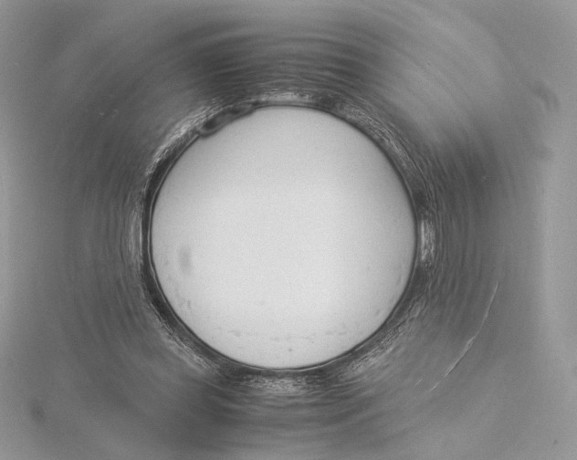 X0000115840349200912041713