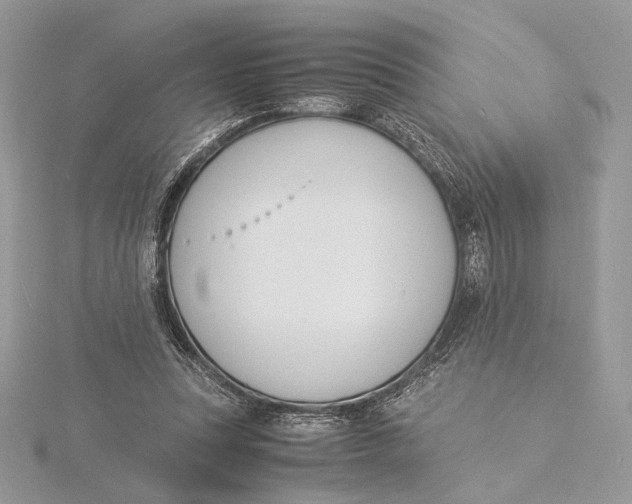 X0000115840351200912041713