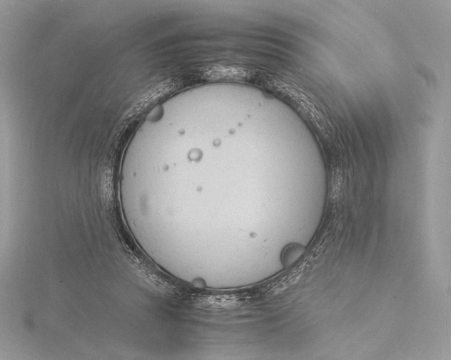 X0000115840353200912041713