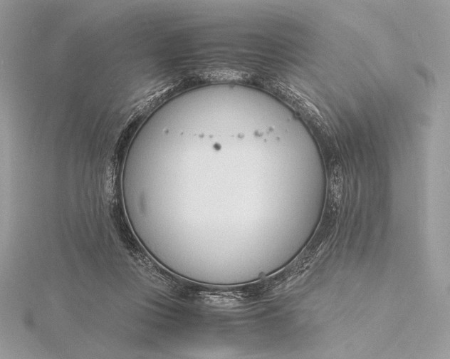 X0000115840359200912041713