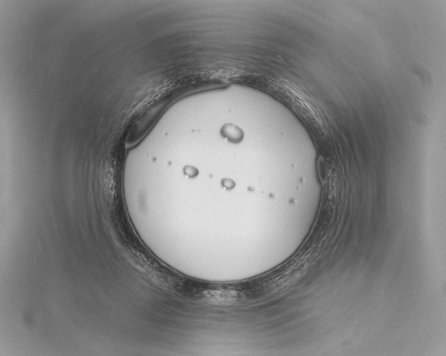 X0000115840362200912041713