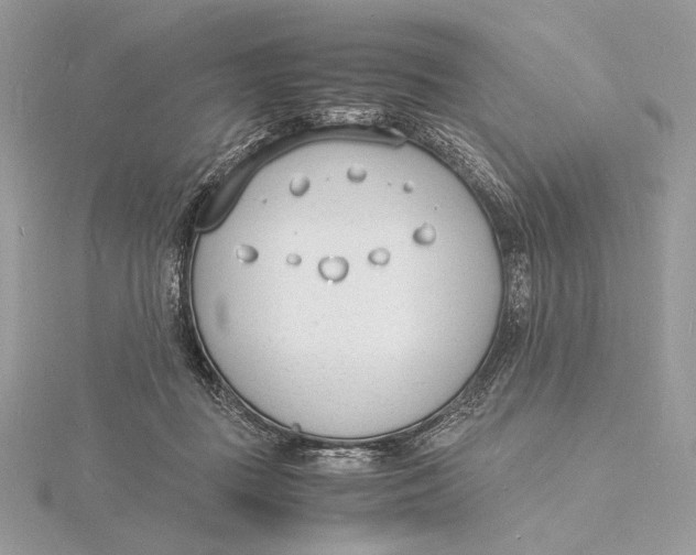 X0000115840363200912041713