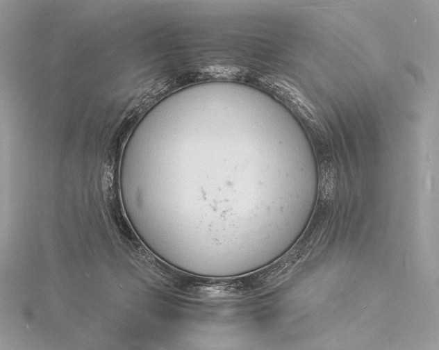 X0000115840365200912041713