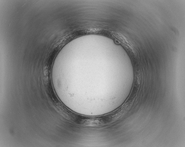 X0000115840366200912041713