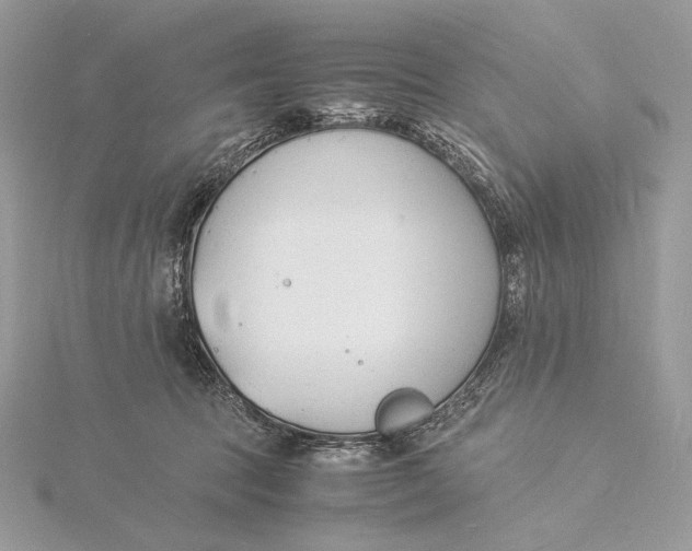 X0000115840369200912041713