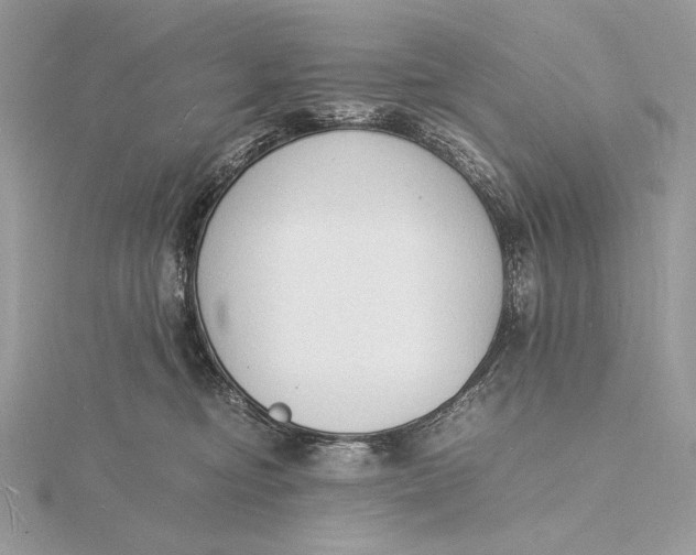 X0000115840374200912041713