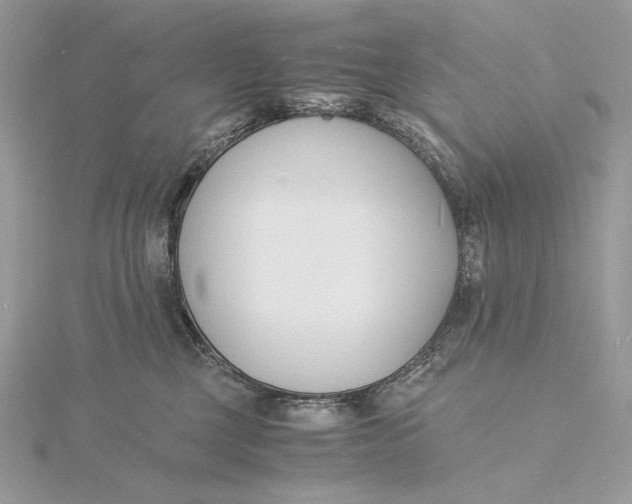 X0000115840377200912041713