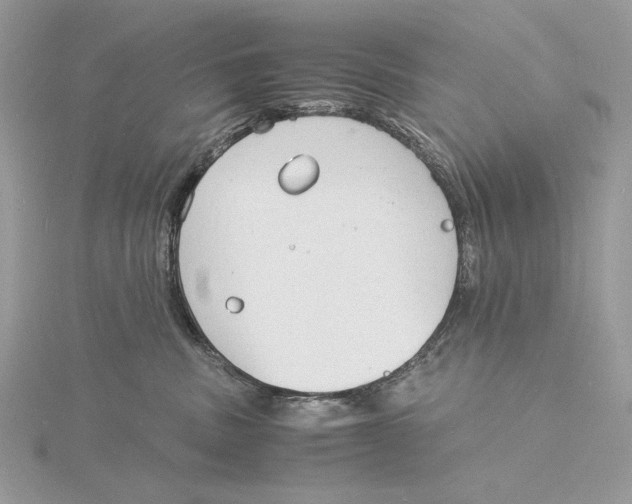 X0000115840379200912041713