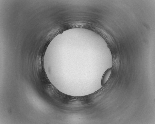 X0000115840381200912041713