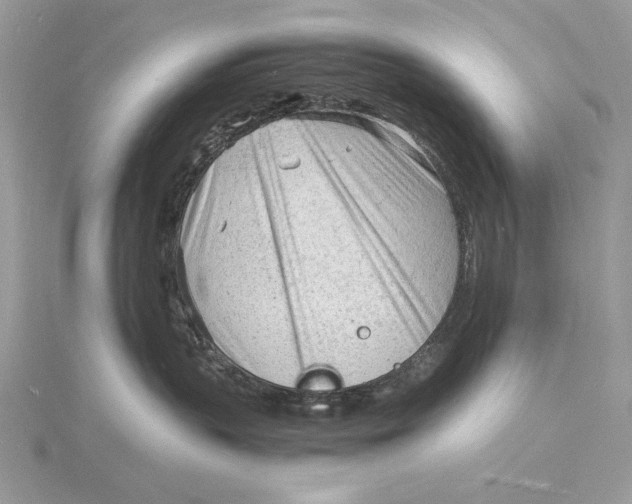 X0000115840383200912041713