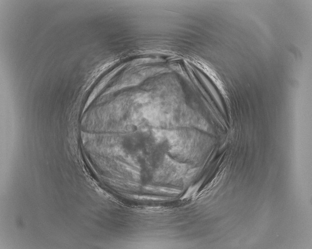 X0000115840385200912041712