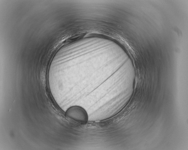 X0000115840386200912041712