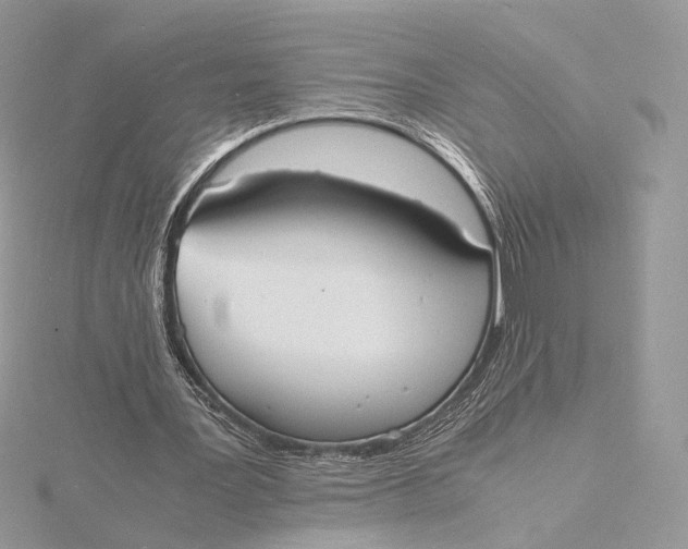 X0000115840387200912041712