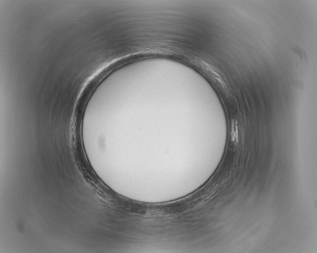 X0000115840388200912041712