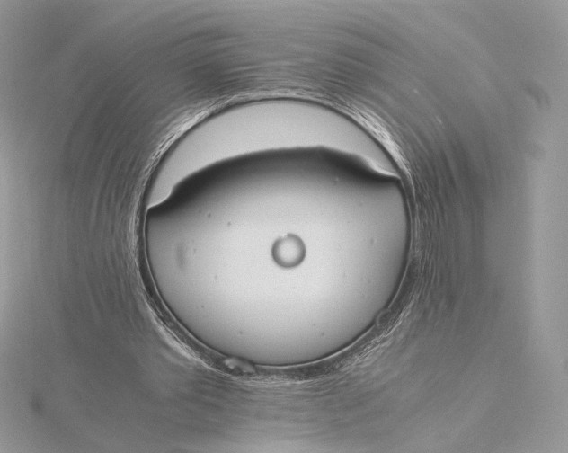 X0000115840389200912041712