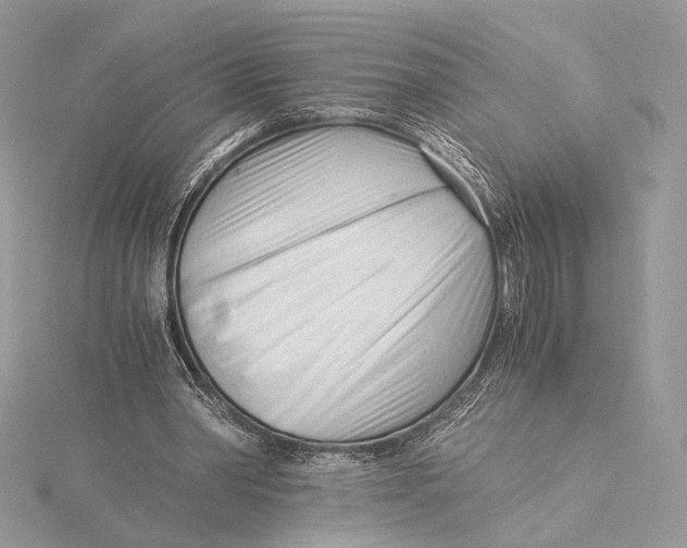 X0000115840390200912041712